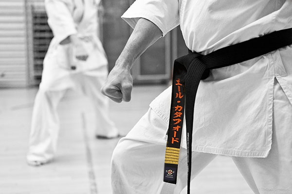 Kyokushin belts outlet